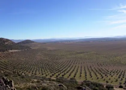 FINCA RUSTICA en venta en Valdepeñas